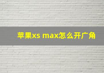 苹果xs max怎么开广角